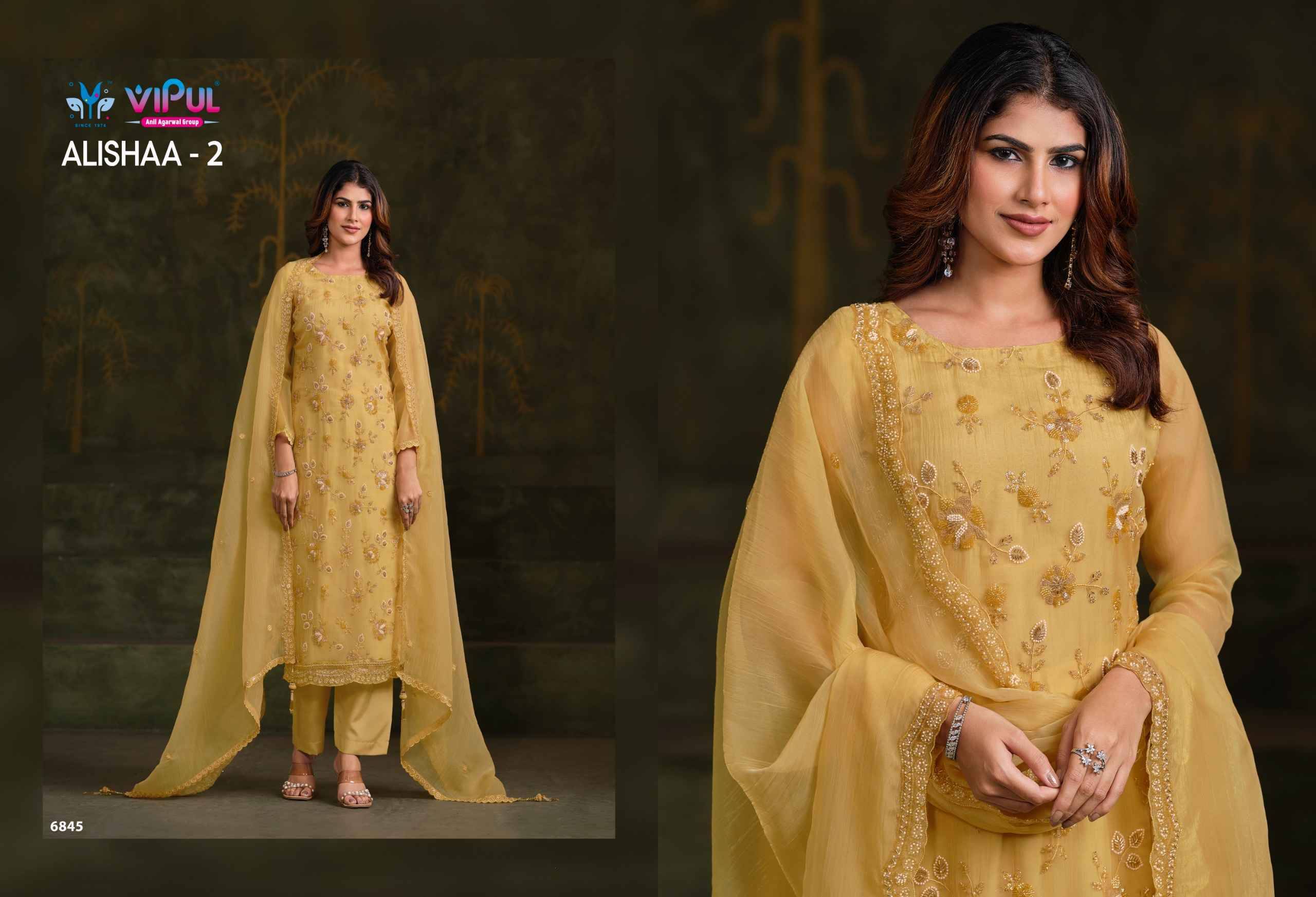 Alishaa Vol 2 By Vipul 6841 to 6846 Series Designer Festive Suits Beautiful Fancy Stylish Colorful Party Wear & Occasional Wear Chiffon Dresses At Wholesale Price